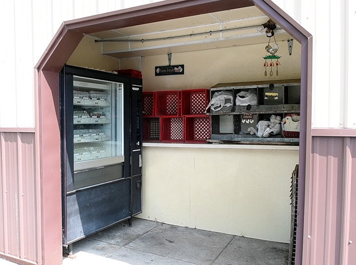 Egg vending machine